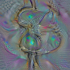n02865351